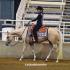 MSQH Breeders Futurity